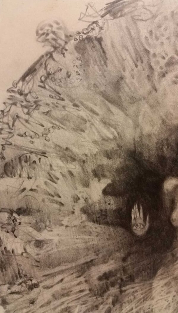 Seeing in the Dark - Image 3