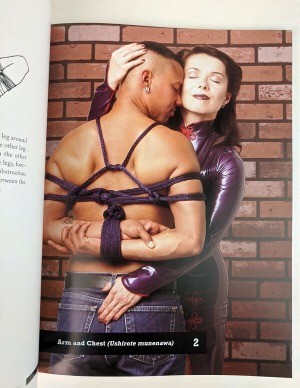 The Seductive Art of Japanese Bondage - Image 3