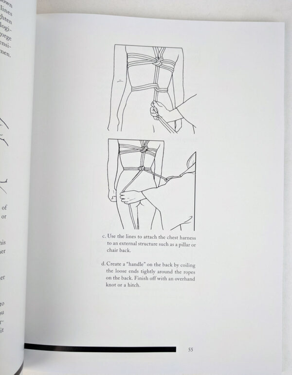 The Seductive Art of Japanese Bondage - Image 4