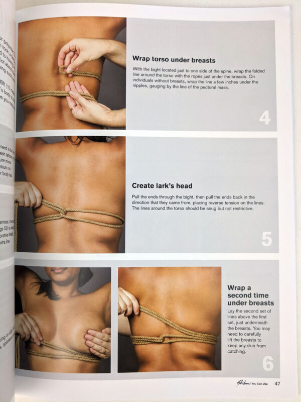 Shibari You Can Use: Japanese Rope Bondage and Erotic Macrame - Image 3