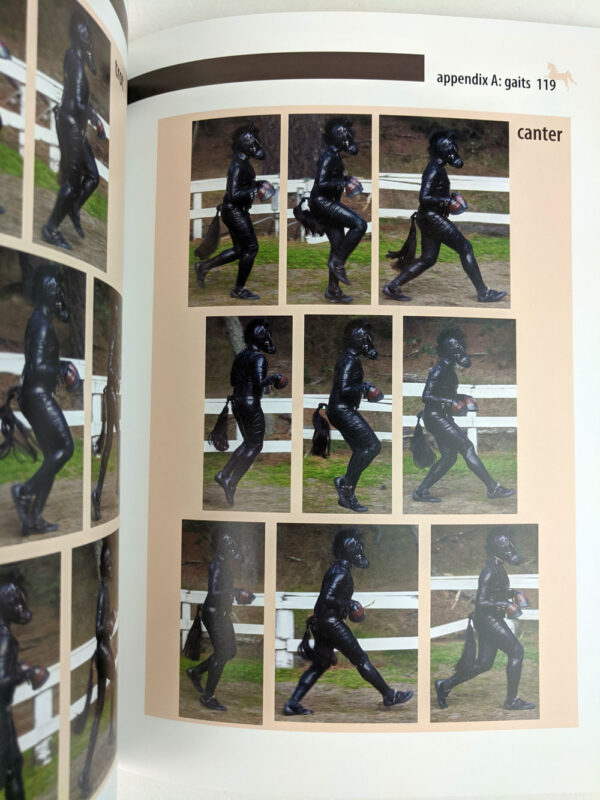 The Human Pony: A Guide for Owners, Trainers and Admirers - Image 3