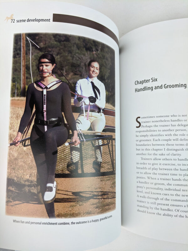 The Human Pony: A Guide for Owners, Trainers and Admirers - Image 4