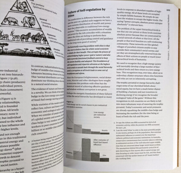 Permaculture: Principles & Pathways Beyond Sustainability - Image 4