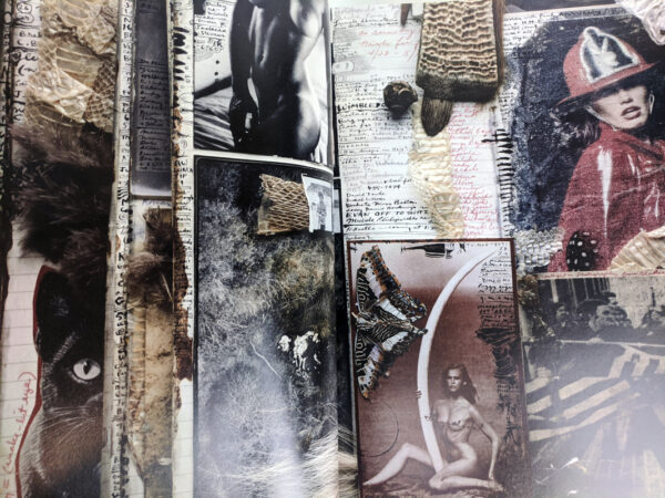Peter Beard - Image 3