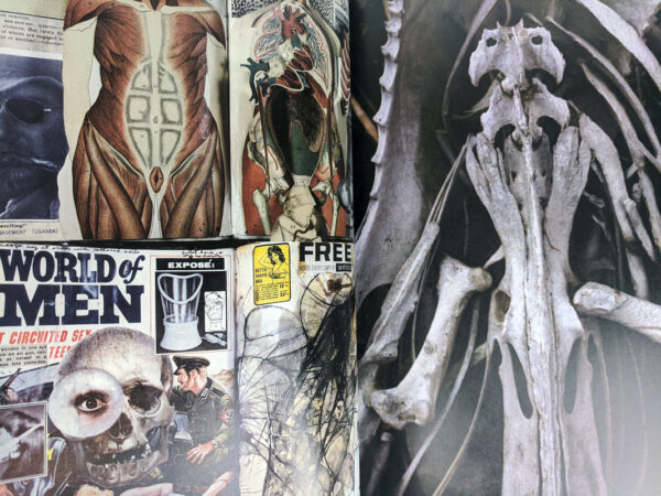 Peter Beard - Image 4