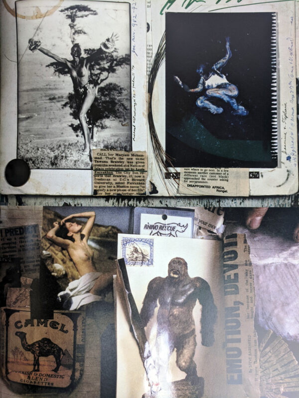 Peter Beard - Image 5