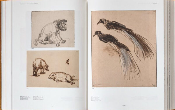 Rembrandt: The Complete Drawings and Etchings XXL - Image 7