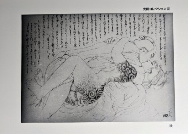 Yasuda Korekushon / Yasuda Collection (9 Volumes) - Image 3