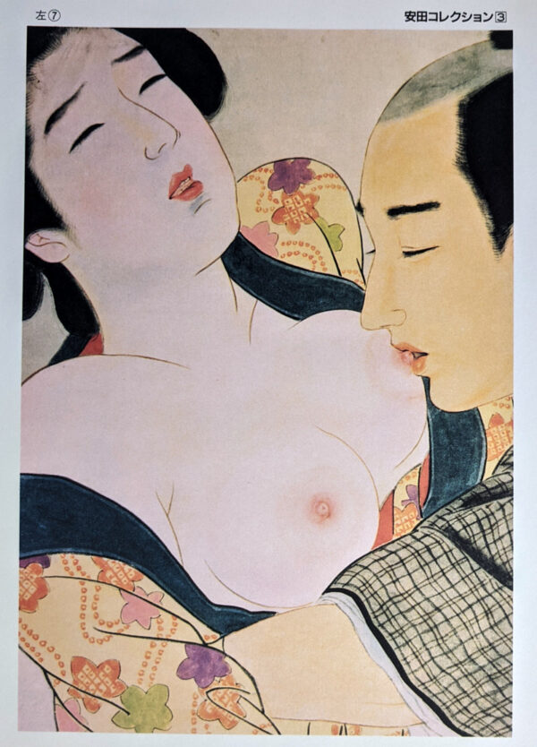 Yasuda Korekushon / Yasuda Collection (9 Volumes) - Image 4