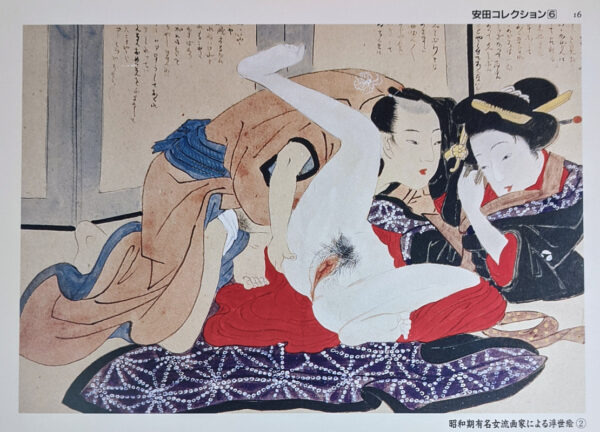 Yasuda Korekushon / Yasuda Collection (9 Volumes) - Image 9