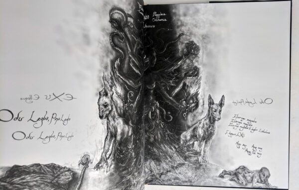 Solve - Image 2