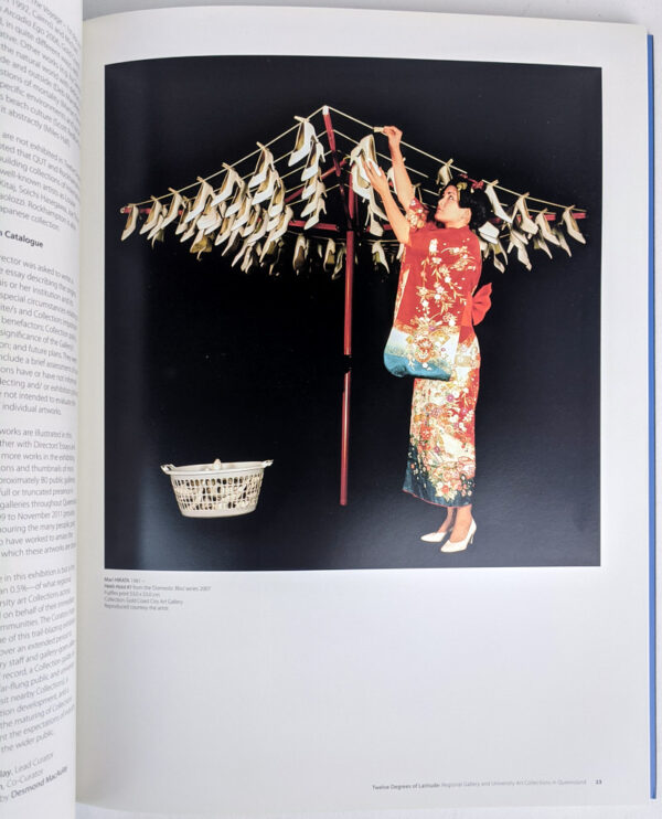 Twelve Degrees of Latitude: Regional Gallery and University Art Collections in Queensland - Image 2
