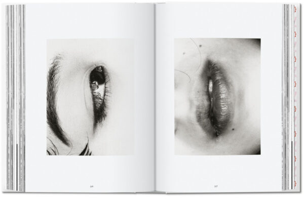 Araki - Image 3