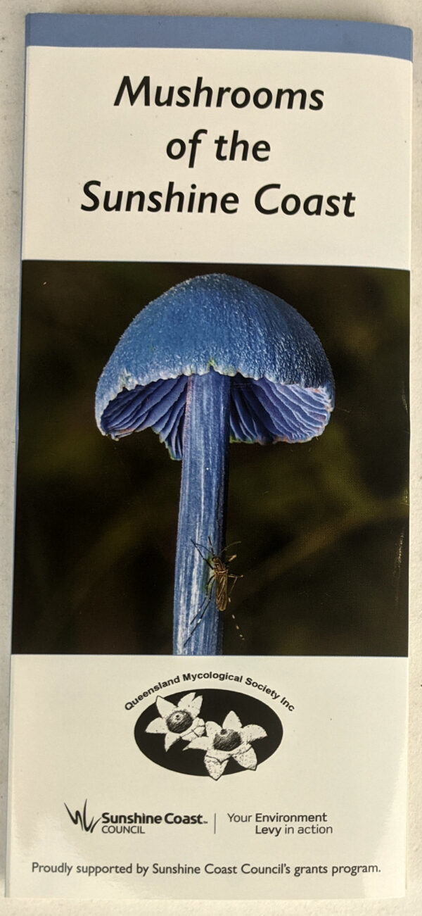 Mushrooms of the Sunshine Coast