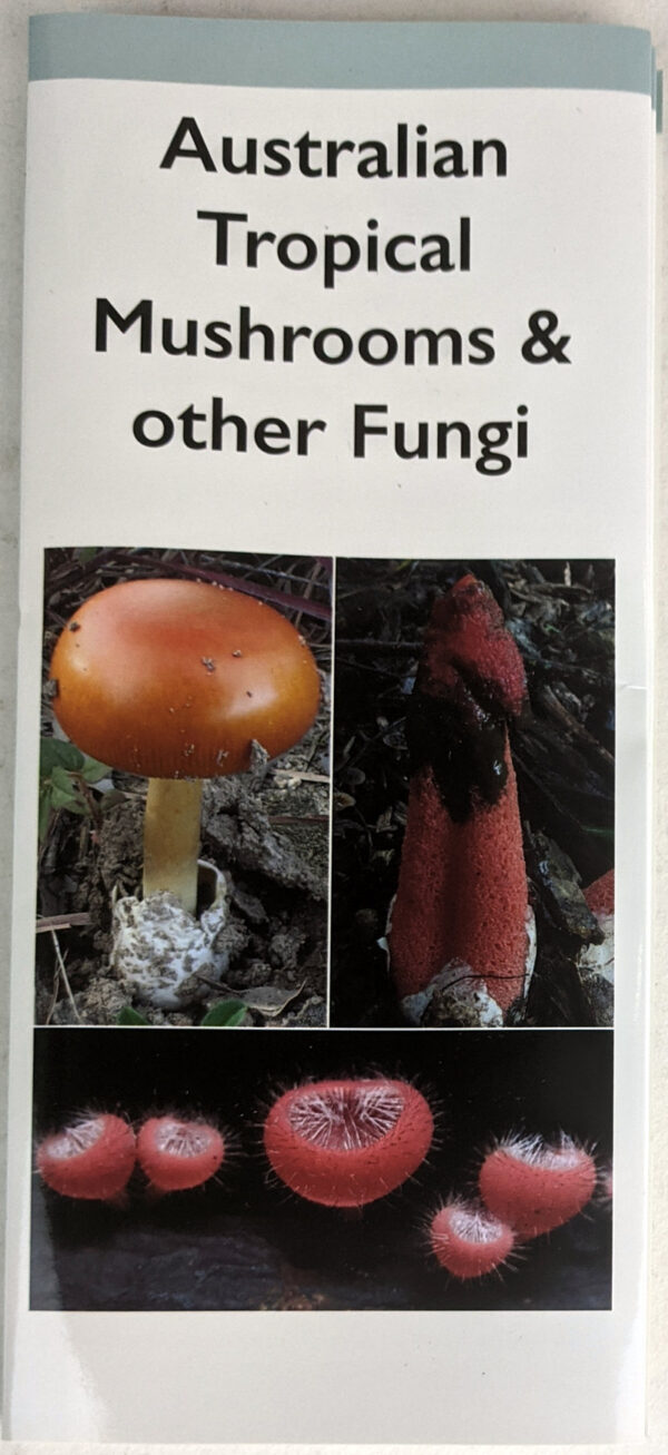Australian Tropical Mushrooms & Other Fungi