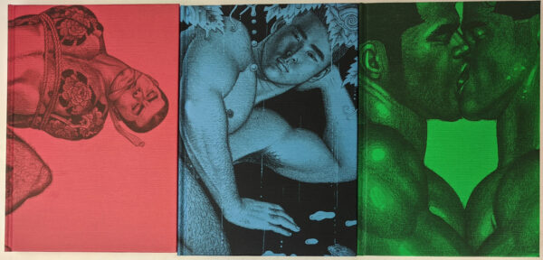Gay Erotic Art in Japan (3 Volumes) - Image 2