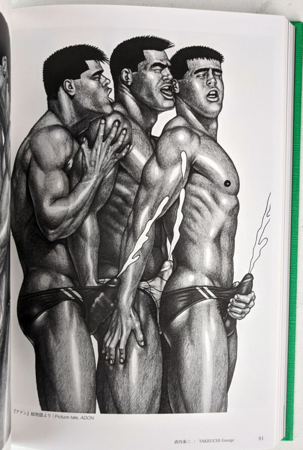 Gay Erotic Art in Japan (3 Volumes) - Image 4