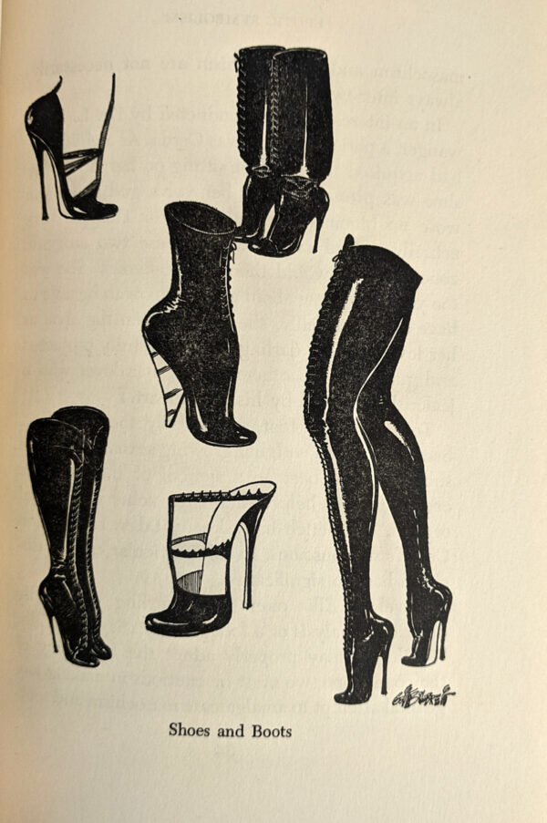 Erotic Symbolism: A Study of Fetishism in Relation to Sex - Image 4