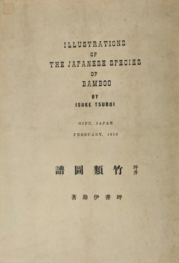 Illustrations of the Japanese Species of Bamboo - Image 2