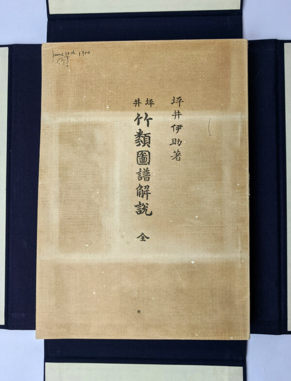 Illustrations of the Japanese Species of Bamboo - Image 5