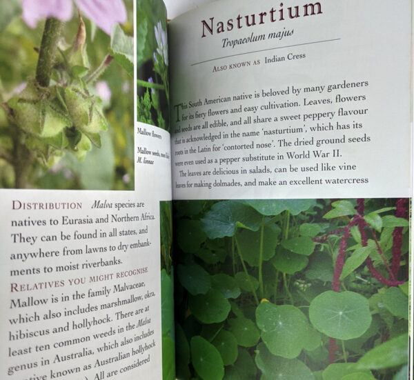 The Weed Forager's Handbook: A Guide to Edible and Medicinal Weeds in Australia - Image 3