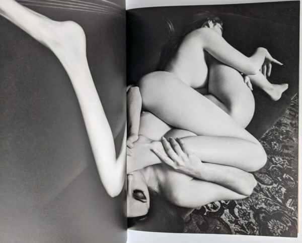 Paradis 5 - Image 5