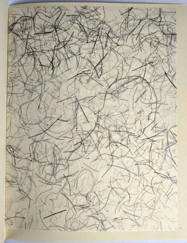 Strange Papers: A Collection of the World's Rarest Handmade Papers - Image 6