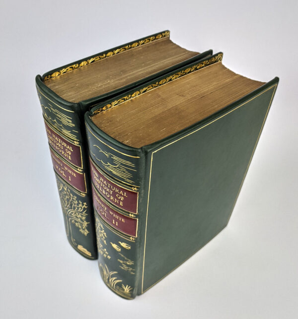 The Natural History & Antiquities of Selborne & a Garden Kalendar (2 Volumes) - Image 3