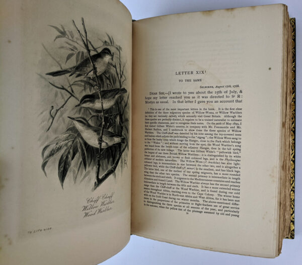 The Natural History & Antiquities of Selborne & a Garden Kalendar (2 Volumes) - Image 5