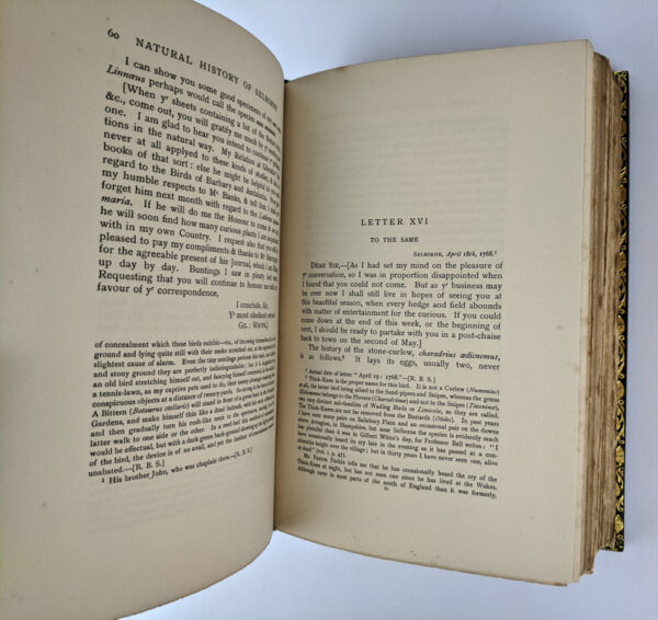 The Natural History & Antiquities of Selborne & a Garden Kalendar (2 Volumes) - Image 6