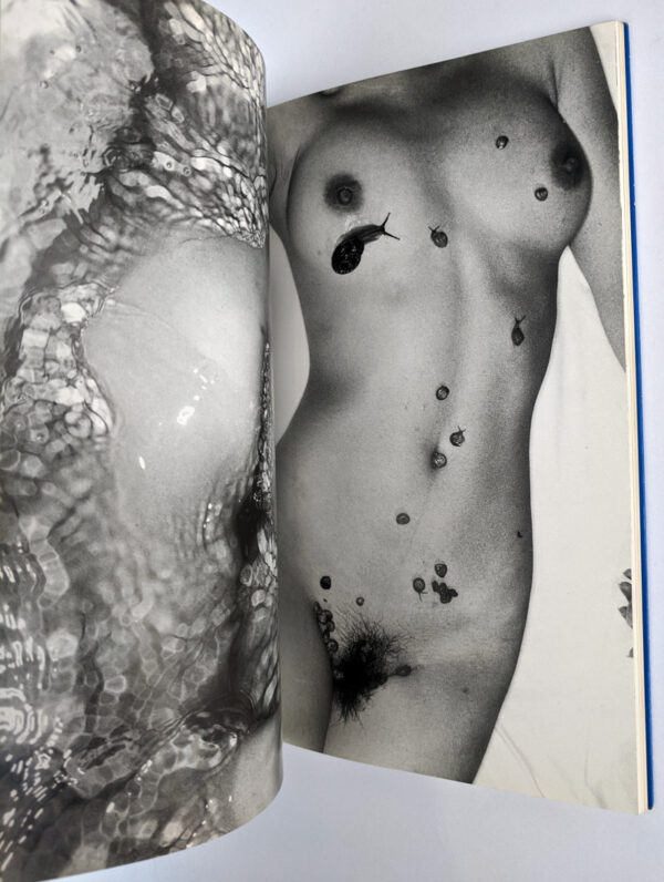 Bodyscapes: The Works of Nobuyoshi Araki 2 - Image 5