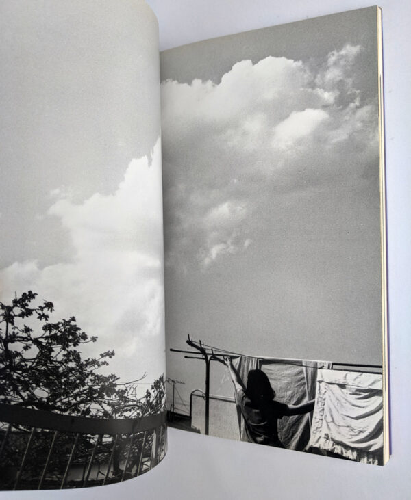 Yoko: The Works of Nobuyoshi Araki 3 - Image 8