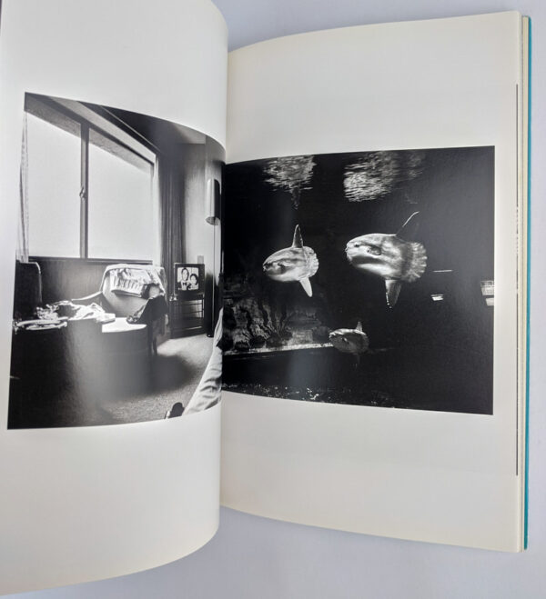 Sentimental Travelogue: The Works of Nobuyoshi Araki 7 - Image 3