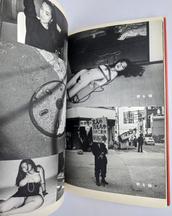 Private Diary, 1980-1995: The Works of Nobuyoshi Araki 8 - Image 4