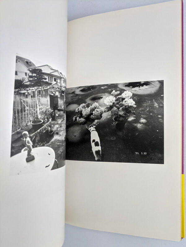 Chiro, Araki and 2 Lovers: The Works of Nobuyoshi Araki 10 - Image 3