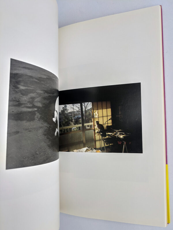 Chiro, Araki and 2 Lovers: The Works of Nobuyoshi Araki 10 - Image 5