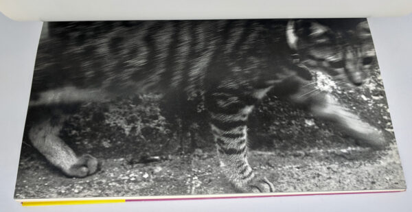 Chiro, Araki and 2 Lovers: The Works of Nobuyoshi Araki 10 - Image 7