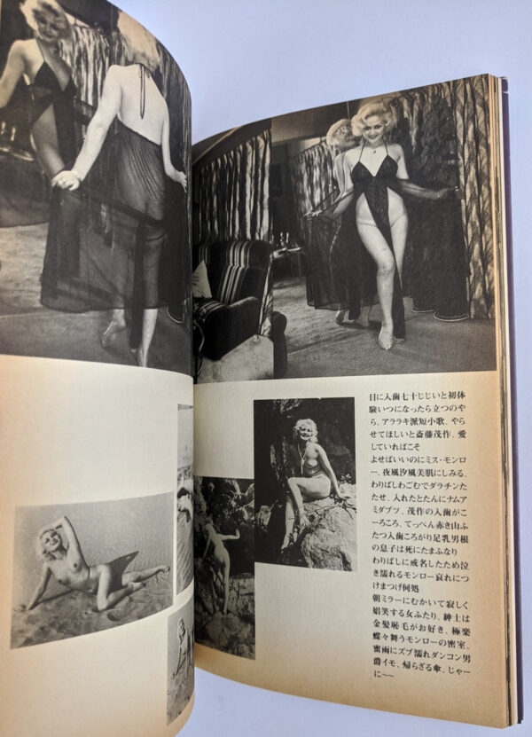 Dramatic Shooting and Fake Reportage: The Works of Nobuyoshi Araki 12 - Image 3