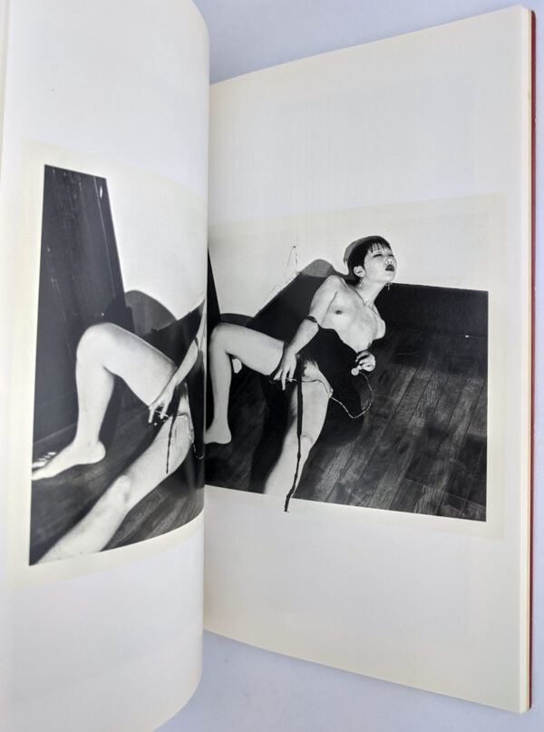 Obscenities and Strange Black Ink Stories: The Works of Nobuyoshi Araki 14 - Image 7