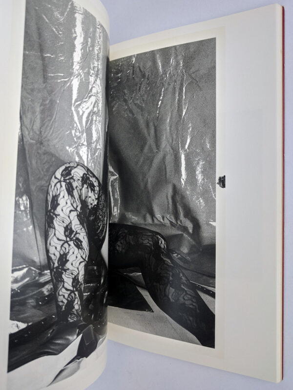 Obscenities and Strange Black Ink Stories: The Works of Nobuyoshi Araki 14 - Image 8