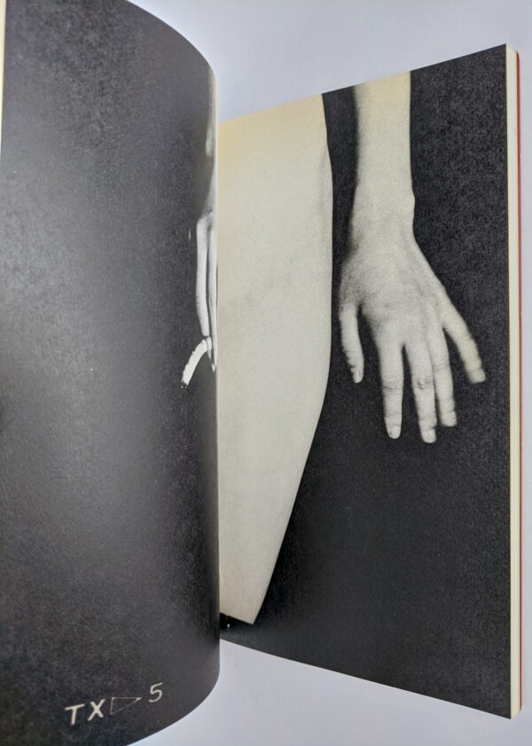 Obscenities and Strange Black Ink Stories: The Works of Nobuyoshi Araki 14 - Image 9