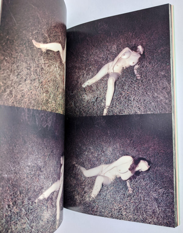 Death: Elegy: The Works of Nobuyoshi Araki 15 - Image 5
