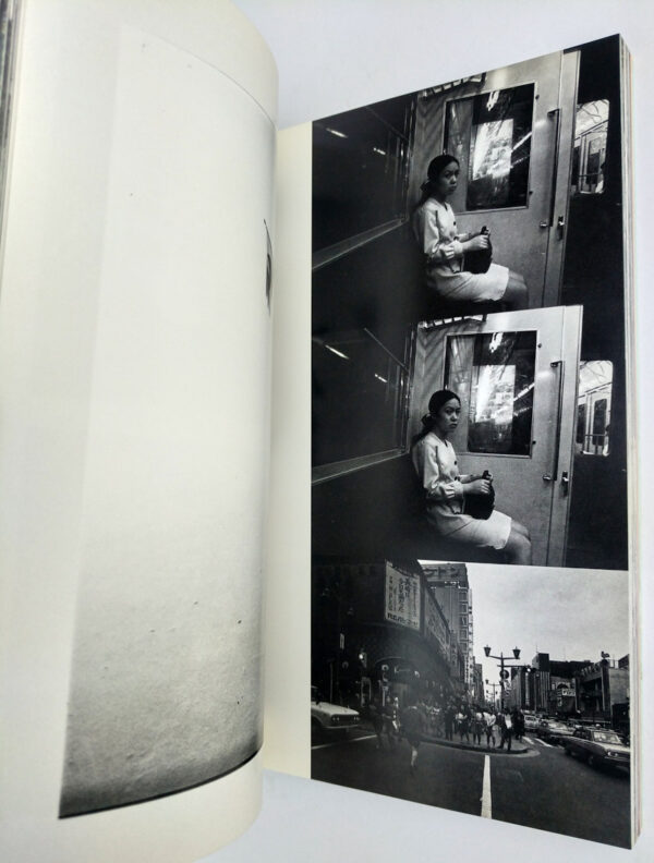 Death: Elegy: The Works of Nobuyoshi Araki 15 - Image 9