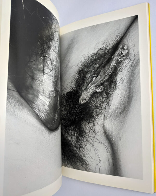 Erotos: The Works of Nobuyoshi Araki 16 - Image 3