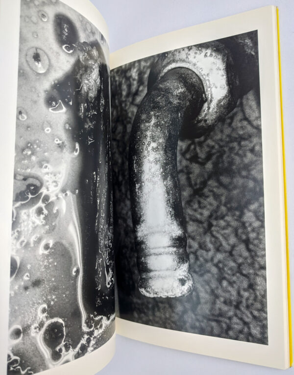 Erotos: The Works of Nobuyoshi Araki 16 - Image 4