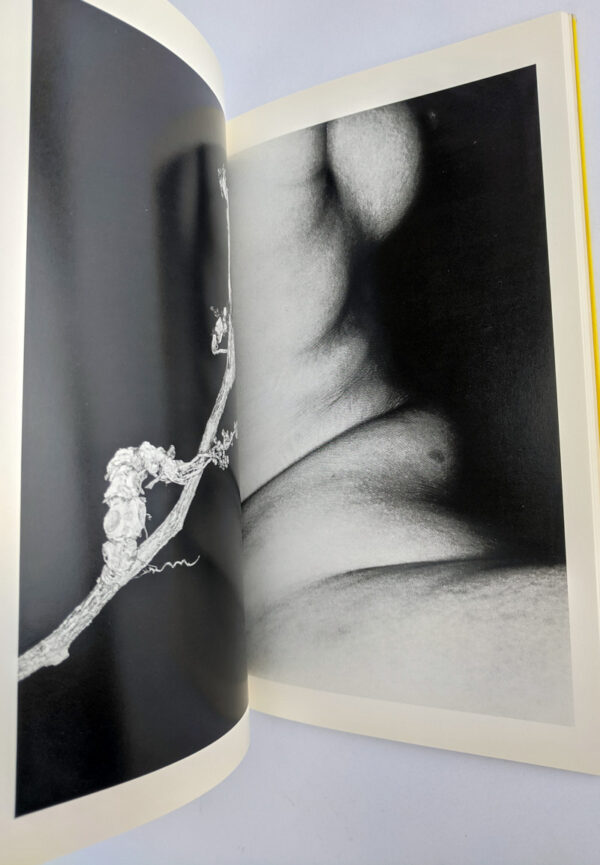 Erotos: The Works of Nobuyoshi Araki 16 - Image 5
