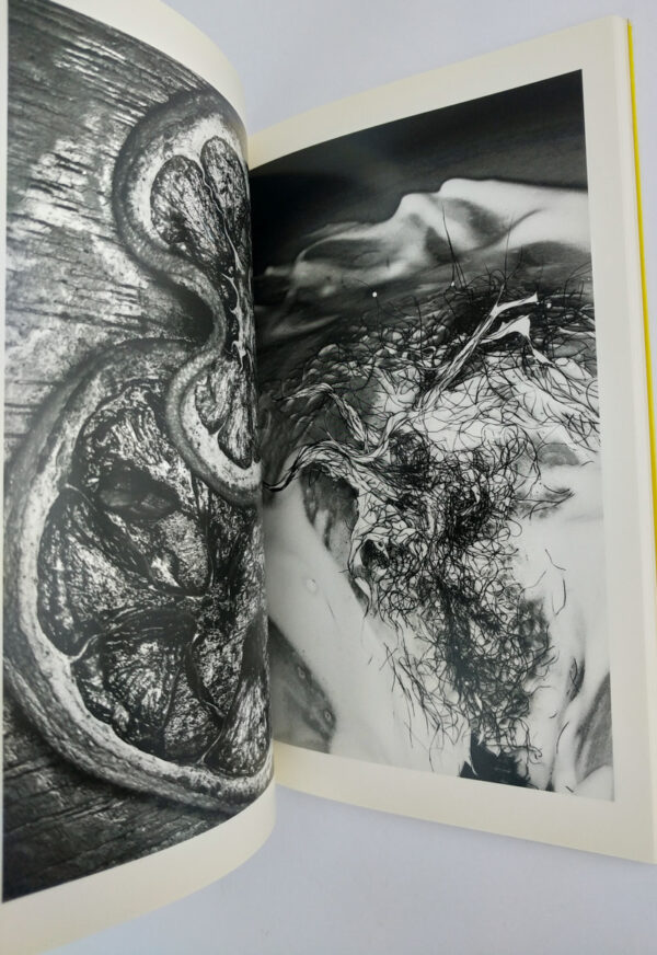 Erotos: The Works of Nobuyoshi Araki 16 - Image 6