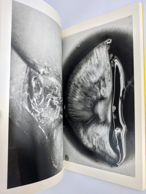 Erotos: The Works of Nobuyoshi Araki 16 - Image 8