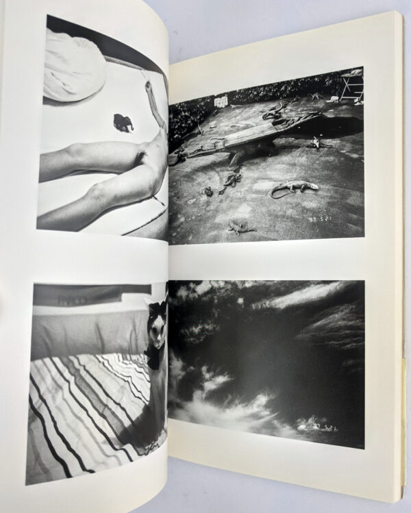 Sentimental May: The Works of Nobuyoshi Araki 20 - Image 4