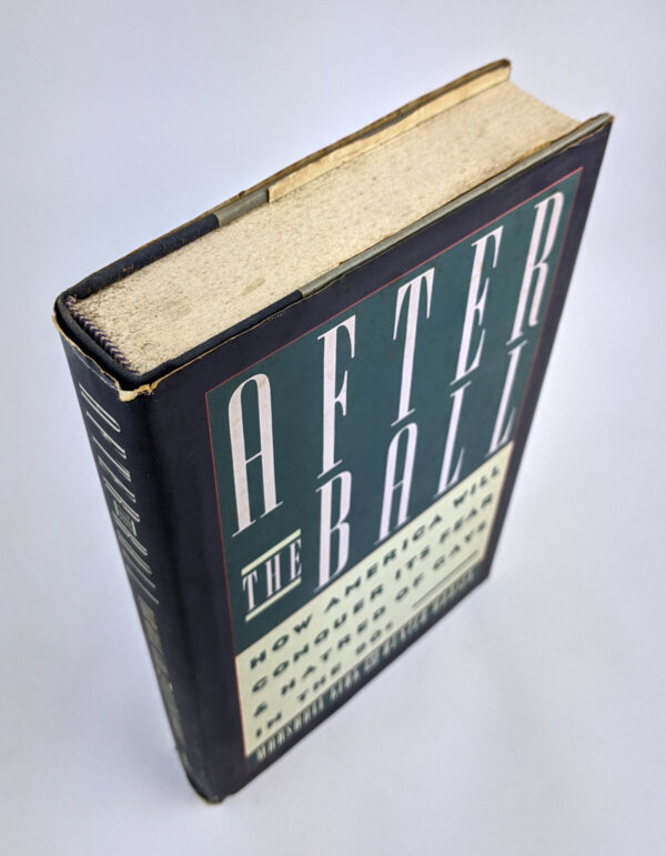 After the Ball: How America Will Conquer Its Fear and Hatred of Gays in the 90s - Image 2